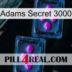 Adams Secret 3000 03